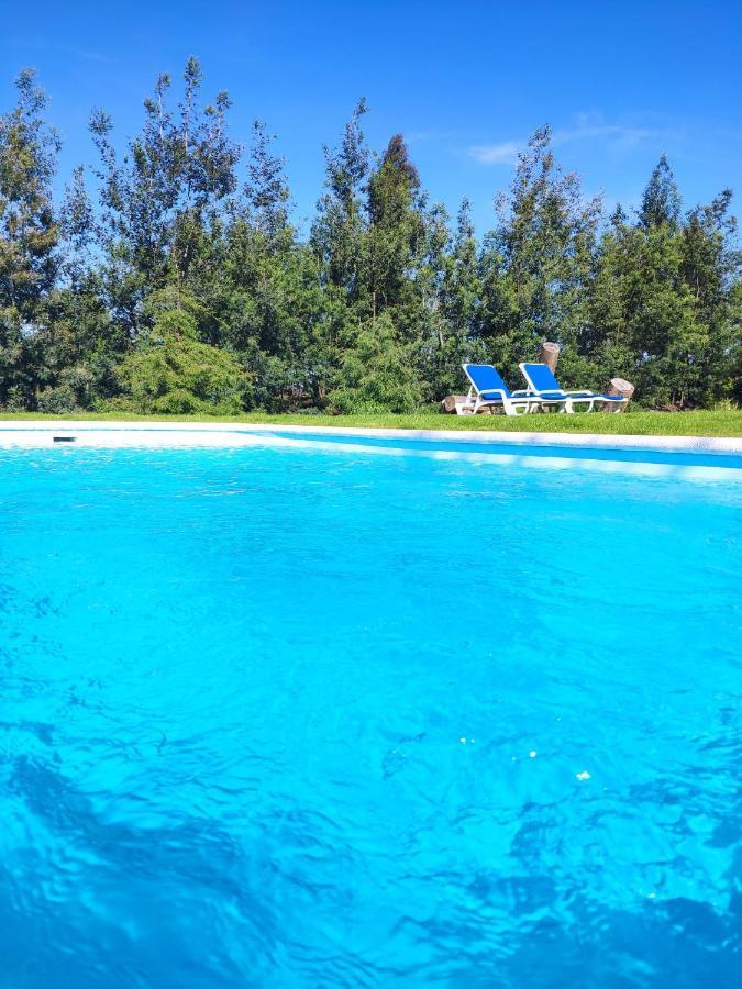 Quinta Chao Da Bispa Oliveira do Hospital Ngoại thất bức ảnh